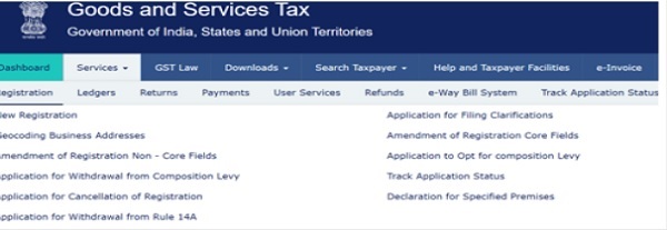Application Process on the GST Portal