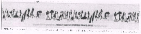 following graphic pictorial representation