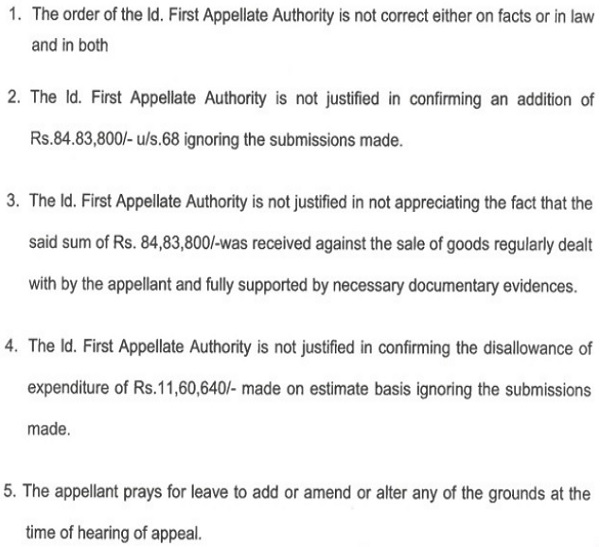 raised the following grounds of appeal