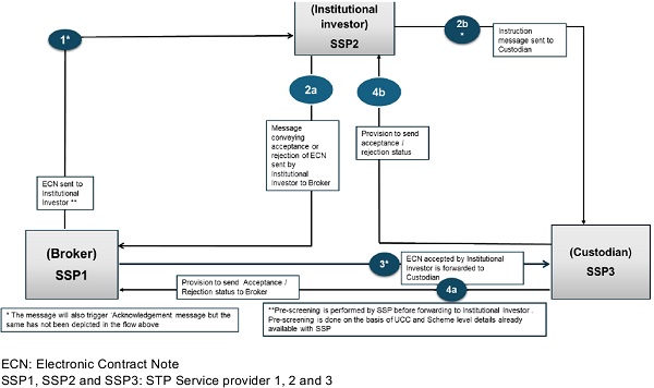 diagrammatic representation of the revised STP Framework