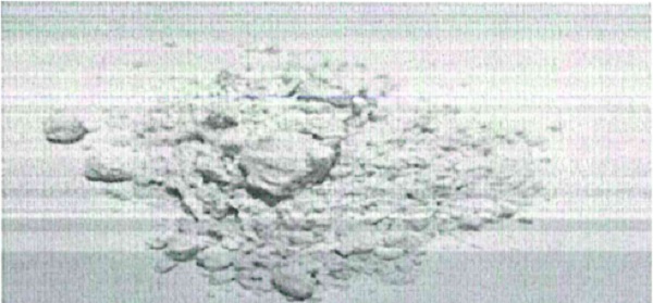 The Applicant is now proposing to import the product `Supro® XT 40