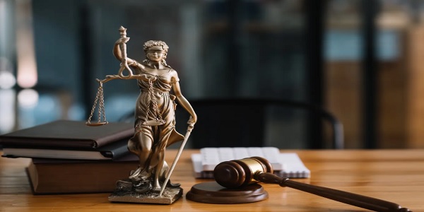 How Lawyers Choose One When It’s Their Own Family