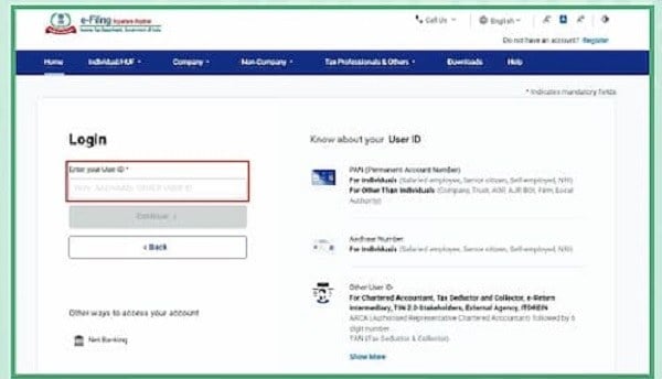 Figure 2- e-filing portal login page