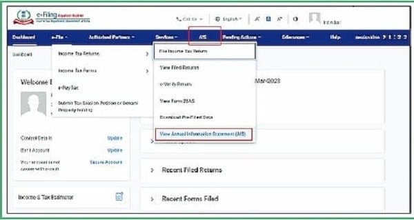 Figure 4- e-Filing profile page