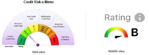 Sample visualisation for Web and mobile view are given below