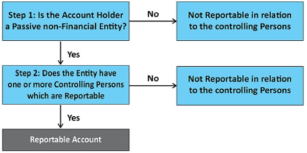 Step by Other Reportable Accountant