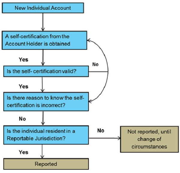 The due diligence process is depicted as under