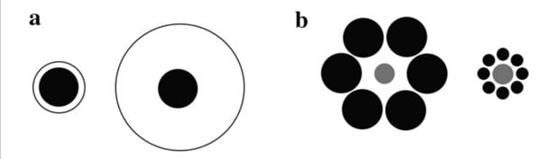 Which Dark Circle is bigger