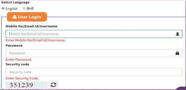 button to view the status of the application submitted