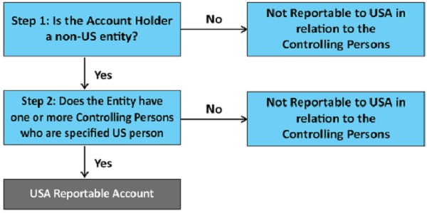 steps for USA Reportable Accountant