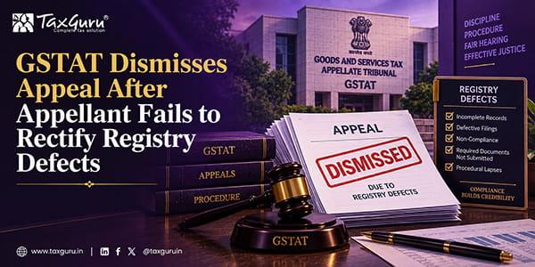 GSTAT Dismisses Appeal After Appellant Fails to Rectify Registry Defects