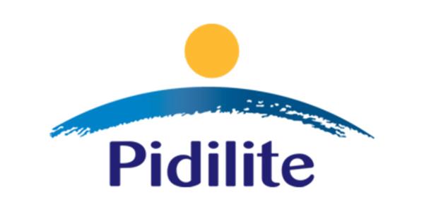 Pidilite reports robust revenue growth of 21.7% for Q2 FY27