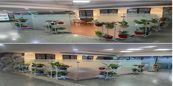 The Office of the Director General of Income Tax (Investigation)